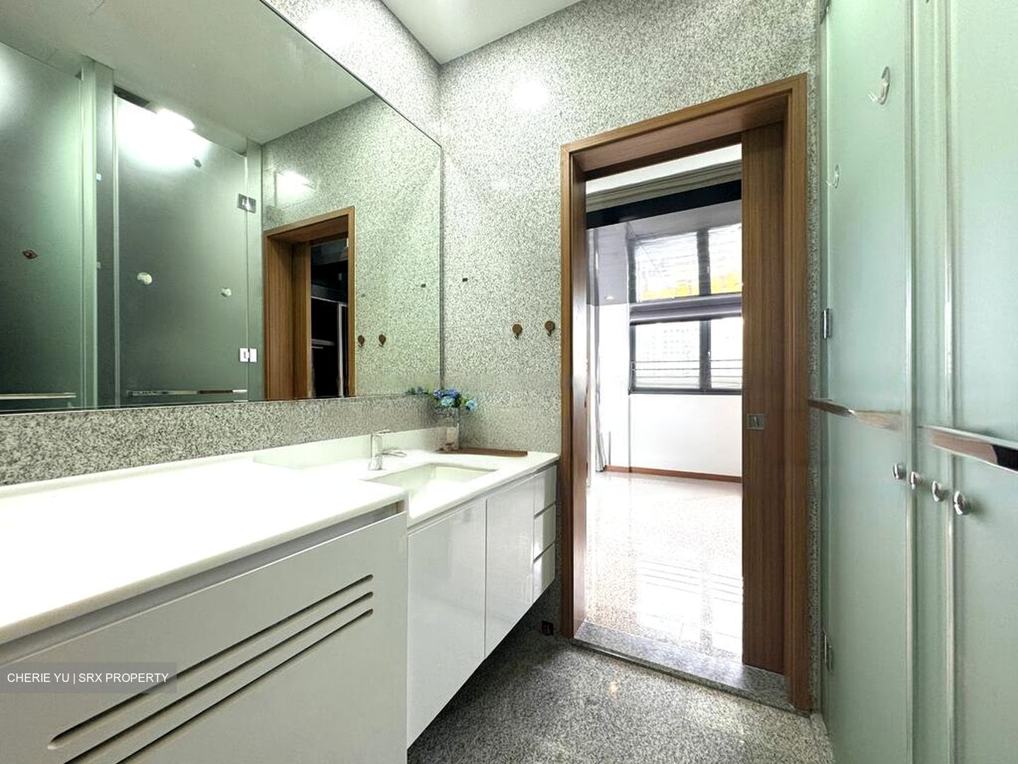 Watertown (D19), Apartment #463594331